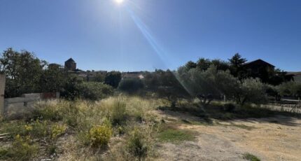 Saint-Jean-de-Fos Terrain à bâtir - 2283032-10896annonce420250925AEmPl.jpeg Maisons de Manon