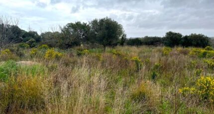 Mèze Maison neuve - 2280454-10896annonce220250923U50Ca.jpeg Maisons de Manon