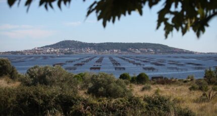 Mèze Maison neuve - 2282151-10896annonce320250924MlKe0.jpeg Maisons de Manon