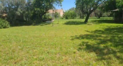 Paulhan Maison neuve - 2282204-10896annonce220250924LLXFV.jpeg Maisons de Manon