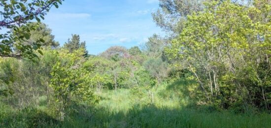 Terrain à bâtir à Montpellier, Occitanie
