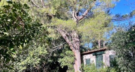 Plan-d'Aups-Sainte-Baume Maison neuve - 2290150-10271annonce320251001Juhvm.jpeg Maisons de Manon