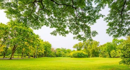 Fuveau Terrain à bâtir - 2272853-7054annonce120250916iymp6.jpeg Maisons de Manon