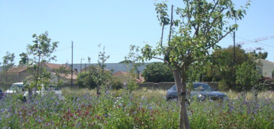 Terrain à bâtir à Hyères, Provence-Alpes-Côte d'Azur