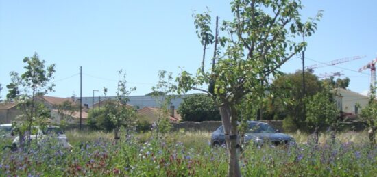 Terrain à bâtir à , Var