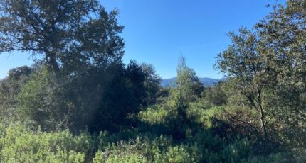 Puget Terrain à bâtir - 2287924-7060annonce320250418CE94U.jpeg Maisons de Manon