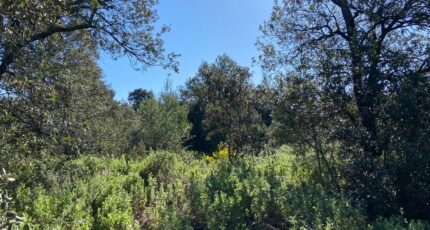 Puget Maison neuve - 2290867-7060annonce4202504181zmHm.jpeg Maisons de Manon