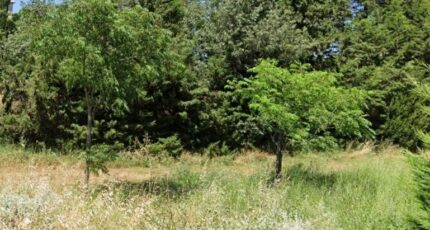 La Bastide-des-Jourdans Terrain à bâtir - 2228871-9917annonce220250719cshDu.jpeg Maisons de Manon