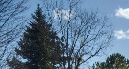 Volx Maison neuve - 2247348-9917annonce220250820Efbe9.jpeg Maisons de Manon