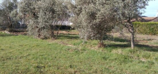 Maison neuve à , Alpes-de-Haute-Provence
