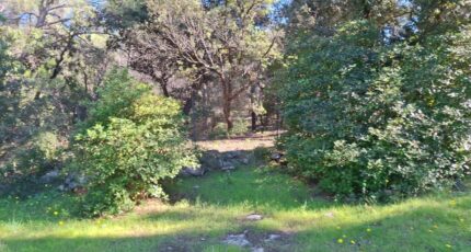 Martigues Maison neuve - 2316836-7050annonce220251024lmAsH.jpeg Maisons de Manon