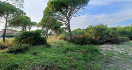 Puget-sur-Argens Maison neuve - 2260135-9911annonce120250904PVd6E.jpeg Maisons de Manon