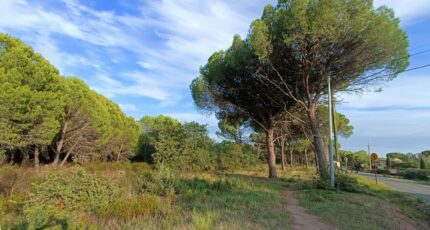 Puget-sur-Argens Maison neuve - 2260135-9911annonce3202509040nwPk.jpeg Maisons de Manon