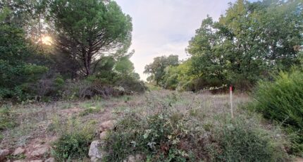 Puget-sur-Argens Maison neuve - 2260137-9911annonce420250904cAcHA.jpeg Maisons de Manon