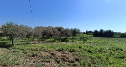 Puget-sur-Argens Maison neuve - 2260166-9911annonce220250904Ca9o6.jpeg Maisons de Manon