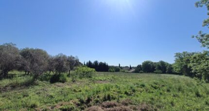 Puget-sur-Argens Maison neuve - 2260167-9911annonce120250904ZICRe.jpeg Maisons de Manon