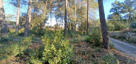 Terrain à bâtir à Trans-en-Provence, Provence-Alpes-Côte d'Azur