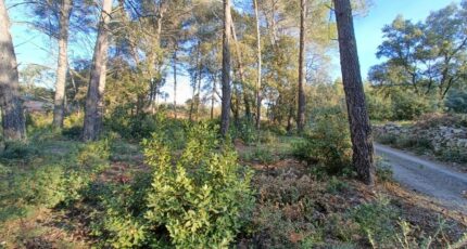 Trans-en-Provence Maison neuve - 2260293-9911annonce120250904Gz15E.jpeg Maisons de Manon