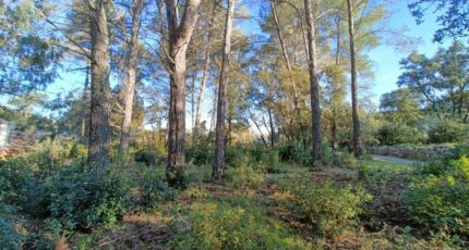 Trans-en-Provence Maison neuve - 2260295-9911annonce220250904VmuNT.jpeg Maisons de Manon