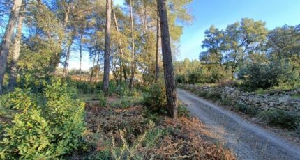 Trans-en-Provence Maison neuve - 2260295-9911annonce320250904yegAy.jpeg Maisons de Manon