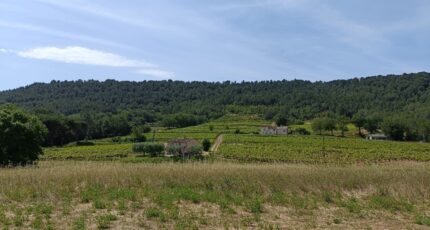 Salernes Terrain à bâtir - 2260304-9911annonce1202509043Ef7l.jpeg Maisons de Manon