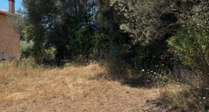 Pignans Maison neuve - 2263846-9707annonce120250908yM5tx.jpeg Maisons de Manon