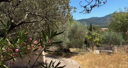 Pignans Maison neuve - 2263853-9707annonce420250908hp5L5.jpeg Maisons de Manon