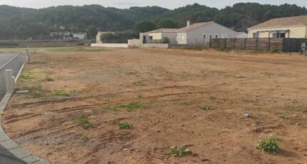 Cessenon-sur-Orb Maison neuve - 2264236-11018annonce120250908xVVhf.jpeg Maisons de Manon