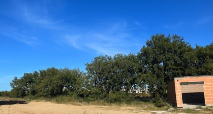 Pollestres Terrain à bâtir - 2288834-11457annonce120250930euxmA.jpeg Maisons de Manon