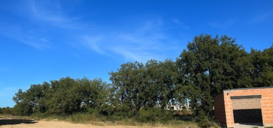 Terrain à bâtir à Pollestres, Occitanie