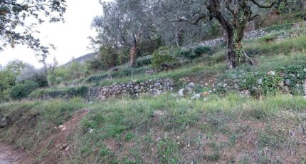 Châteauneuf-Villevieille Terrain à bâtir - 2326795-10140annonce2202511033hdTu.jpeg Maisons de Manon