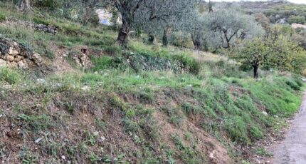 Châteauneuf-Villevieille Terrain à bâtir - 2326795-10140annonce320251103br0a6.jpeg Maisons de Manon