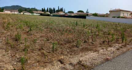 Hérépian Maison neuve - 2327471-11018annonce220251104Bqe8b.jpeg Maisons de Manon