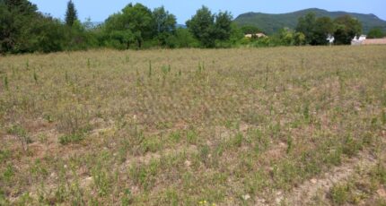 Hérépian Maison neuve - 2327469-11018annonce1202511047TGim.jpeg Maisons de Manon