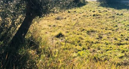 Pignans Maison neuve - 2327105-9707annonce120251104LMD5J.jpeg Maisons de Manon