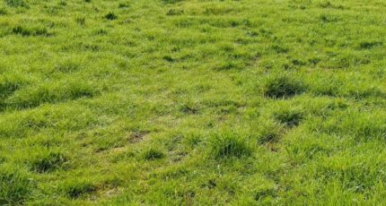 Pignans Maison neuve - 2327133-9707annonce120251104fedUQ.jpeg Maisons de Manon