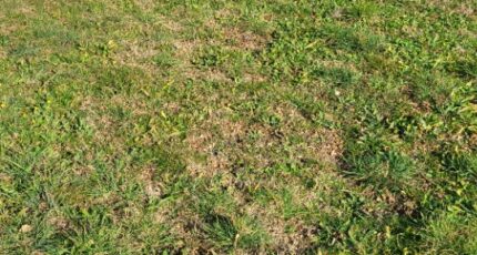 Flassans-sur-Issole Maison neuve - 2329433-10746annonce120251106DgZ9w.jpeg Maisons de Manon