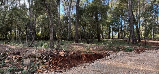 Terrain à bâtir à Lorgues, Provence-Alpes-Côte d'Azur