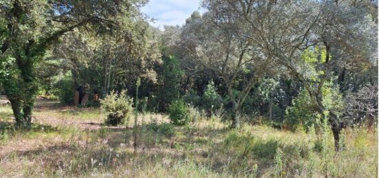Terrain à bâtir à Villevieille, Occitanie