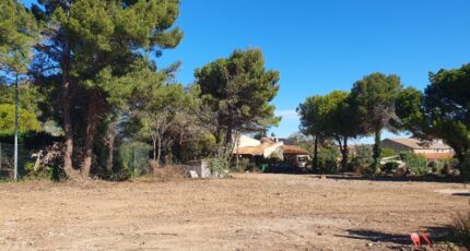 Fleury Maison neuve - 2256834-665annonce1202509019aSVv.jpeg Maisons de Manon