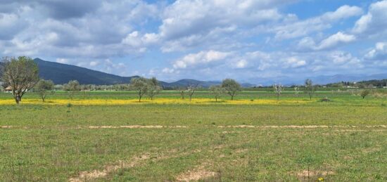 Terrain à bâtir à Les Mées, Provence-Alpes-Côte d'Azur