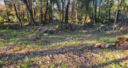 Brignoles Maison neuve - 2353459-10744annonce320251201vIOcs.jpeg Maisons de Manon