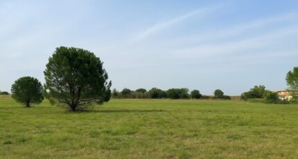 Saint-Jean-Lasseille Maison neuve - 2248172-11457annonce120250821h1eTM.jpeg Maisons de Manon