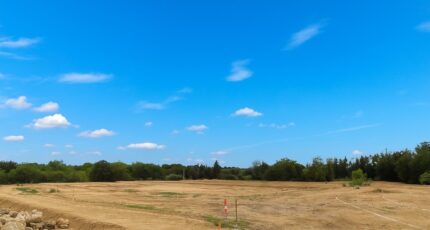 Villelongue-dels-Monts Maison neuve - 2248892-11457annonce120250822OD8Iz.jpeg Maisons de Manon