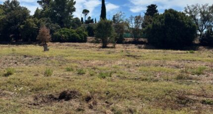 Fréjus Terrain à bâtir - 2259179-5826annonce220250903VbH3i.jpeg Maisons de Manon