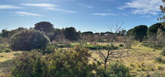 Terrain à bâtir à Puget-sur-Argens, Provence-Alpes-Côte d'Azur