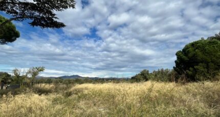 Castelnou Maison neuve - 2315919-11457annonce120251023uUv1c.jpeg Maisons de Manon