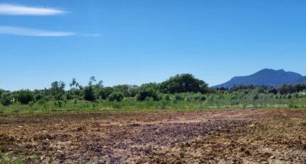 La Crau Terrain à bâtir - 2324040-11078annonce220251031SOTtG.jpeg Maisons de Manon