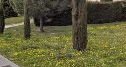 Cadenet Terrain à bâtir - 2358712-7054annonce420251205V01zJ.jpeg Maisons de Manon