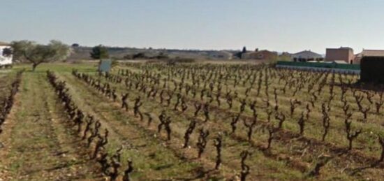 Terrain à bâtir à Cruzy, Occitanie